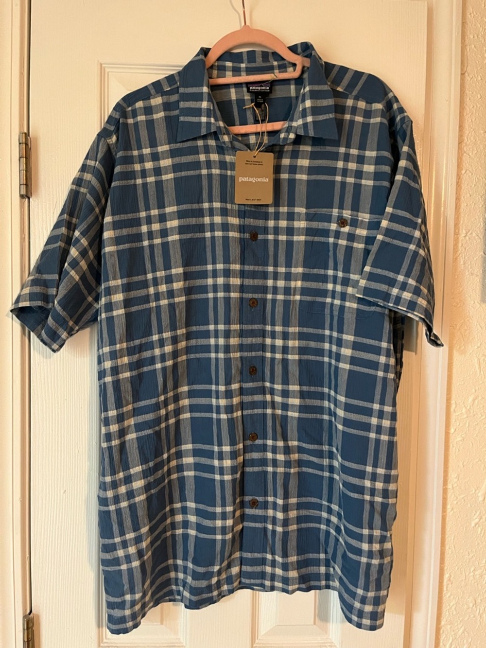 Patagonia Blue and White Plaid Short-Sleeve Button Down Shirt